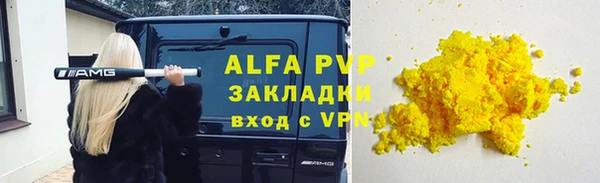 мдпв Бородино
