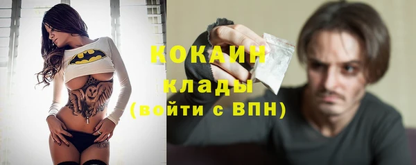 мдпв Бородино