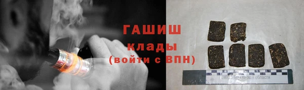 мдпв Бородино