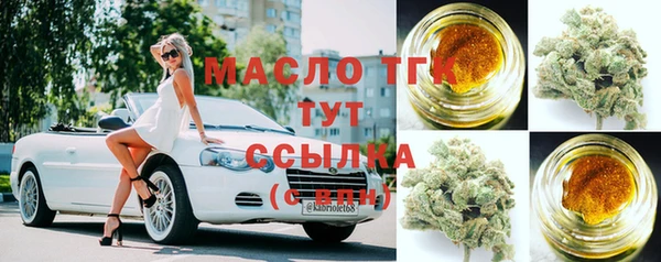 мдпв Бородино