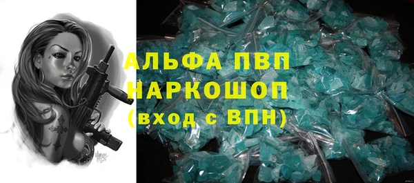 мдпв Бородино