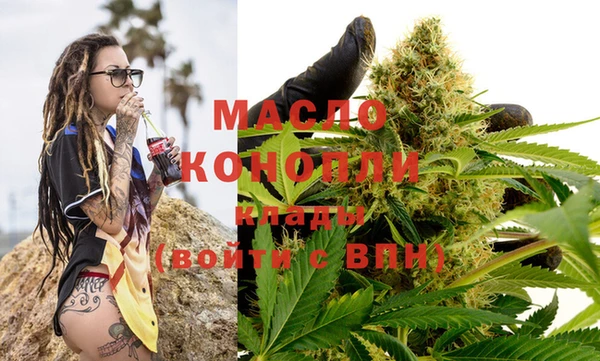 мдпв Бородино