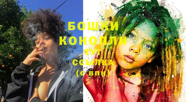 мдпв Бородино