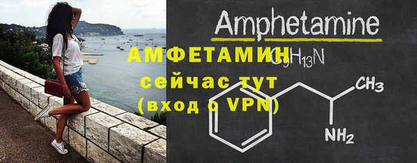 мдпв Бородино