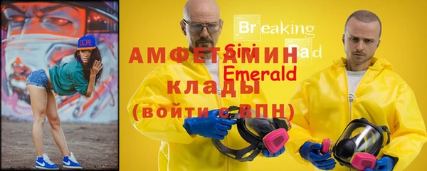 мдпв Бородино