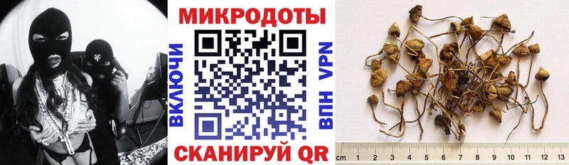 даркнет сайт  Гусев  Галлюциногенные грибы GOLDEN TEACHER 