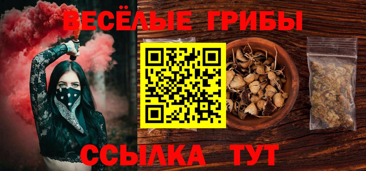 Псилоцибиновые грибы Psilocybe Гусев